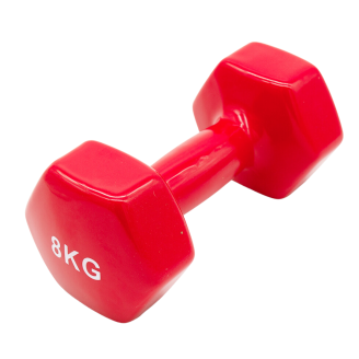 Fitness Dumbbell 8kg
