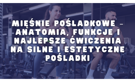 Mięśnie pośladkowe – anatomia, funkcje i najlepsze ćwiczenia na silne i estetyczne pośladki